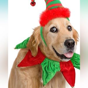 🟢3/$15 Dog Christmas Elf collar & Standard red dog collar